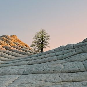 Meet your Posher, Jade